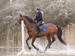 2016 TREC Træning 16 april